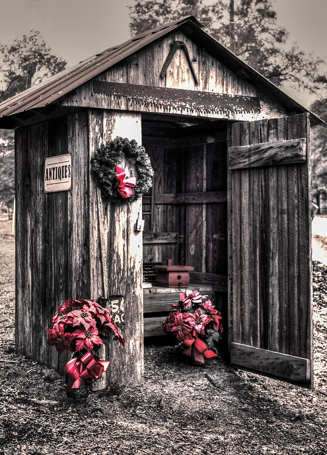 Holiday Outhouse  Photograph by Debra Forand