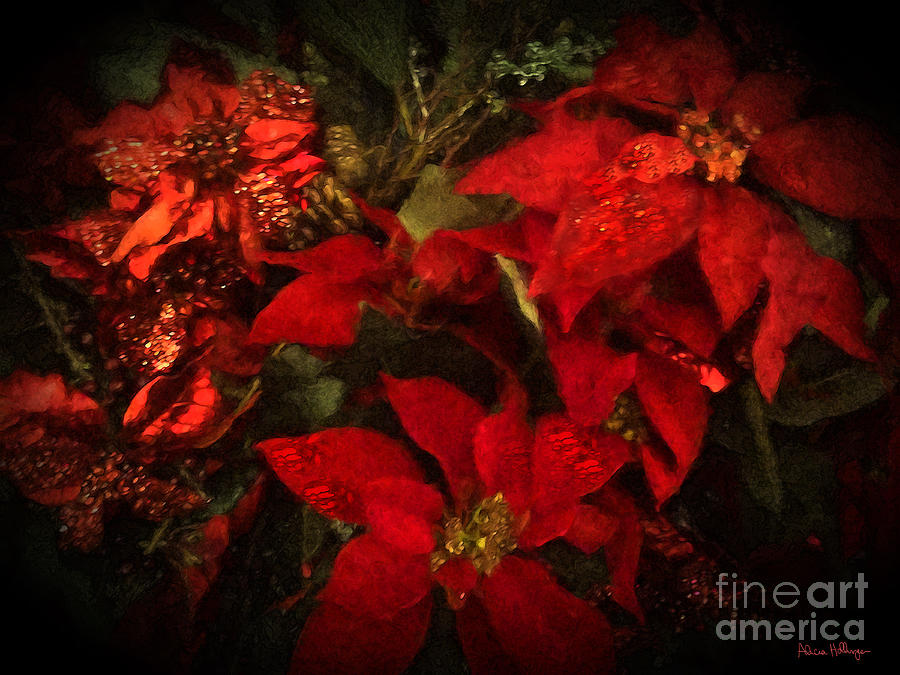 Holiday Painted Poinsettias Digital Art by Alicia Hollinger