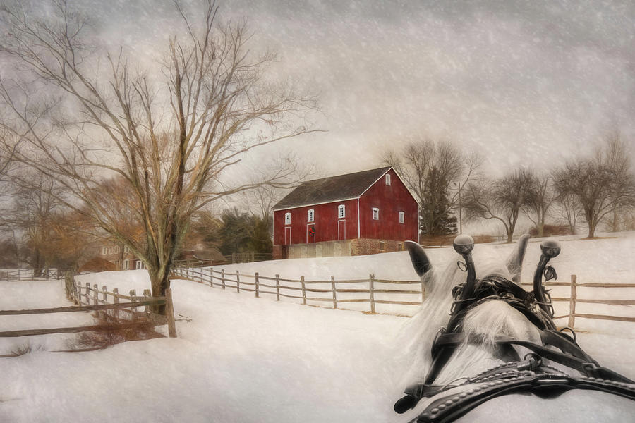 Winter Photograph - Holiday Ride by Lori Deiter