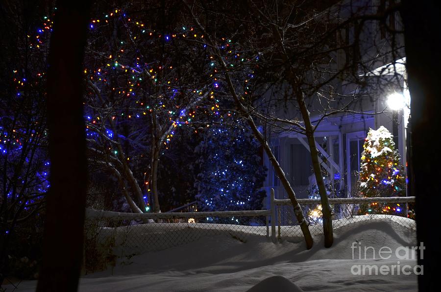 Holiday Season at Night Photograph by Elaine Berger