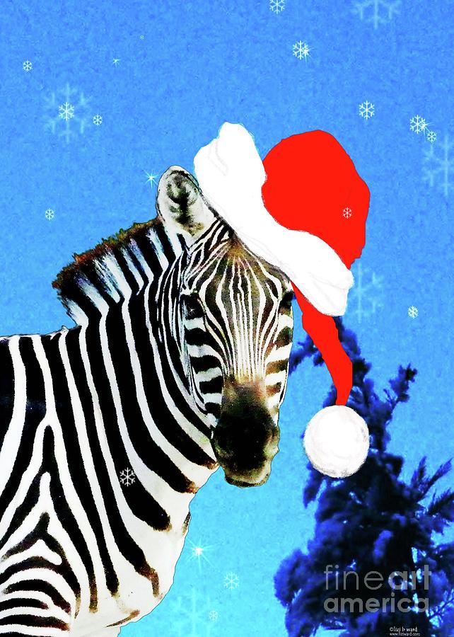 Holiday Zebra  Photograph by Lizi Beard-Ward