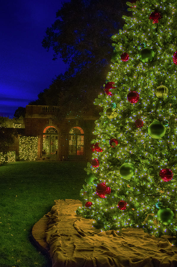 Holidays at Filoli Photograph by Patricia Dennis