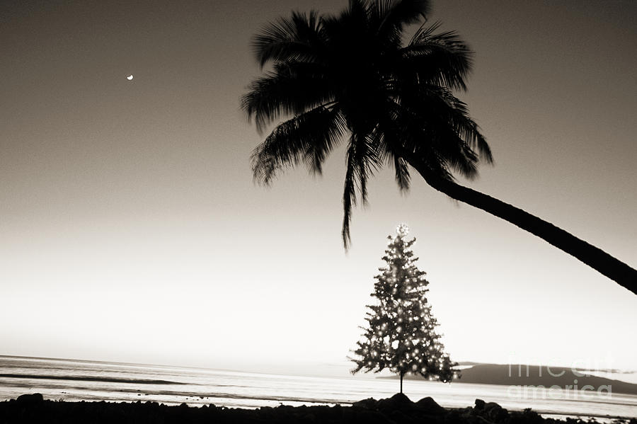 Holidays in Hawaii Photograph by Ron Dahlquist - Printscapes