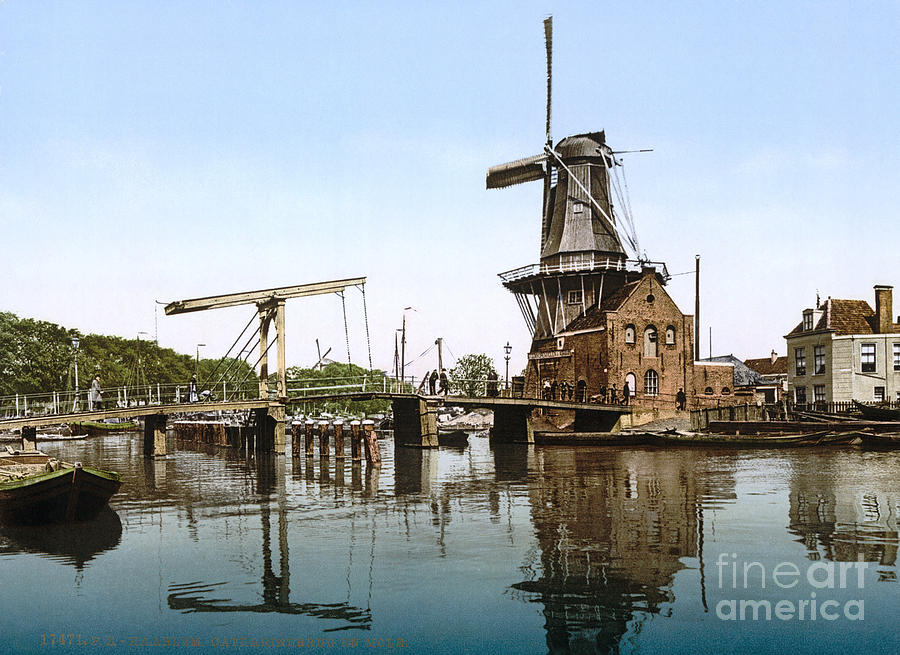 Holland: Windmill Painting by Granger
