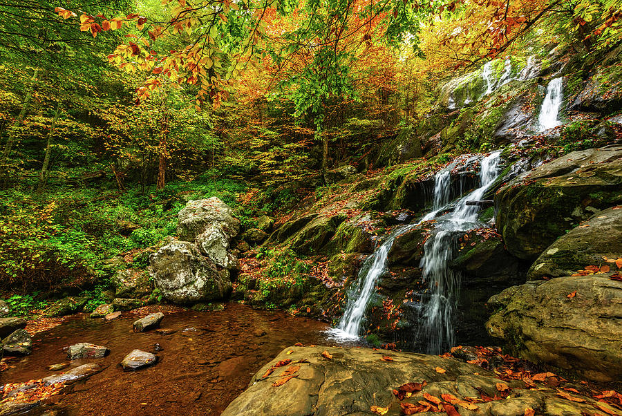 Fall Photograph - Hollow Falls in Autumn by Mountain Dreams