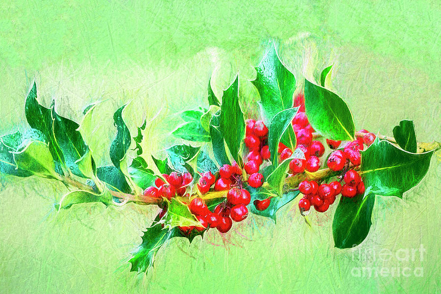 Holly Berries Photo Art Photograph by Sharon Talson