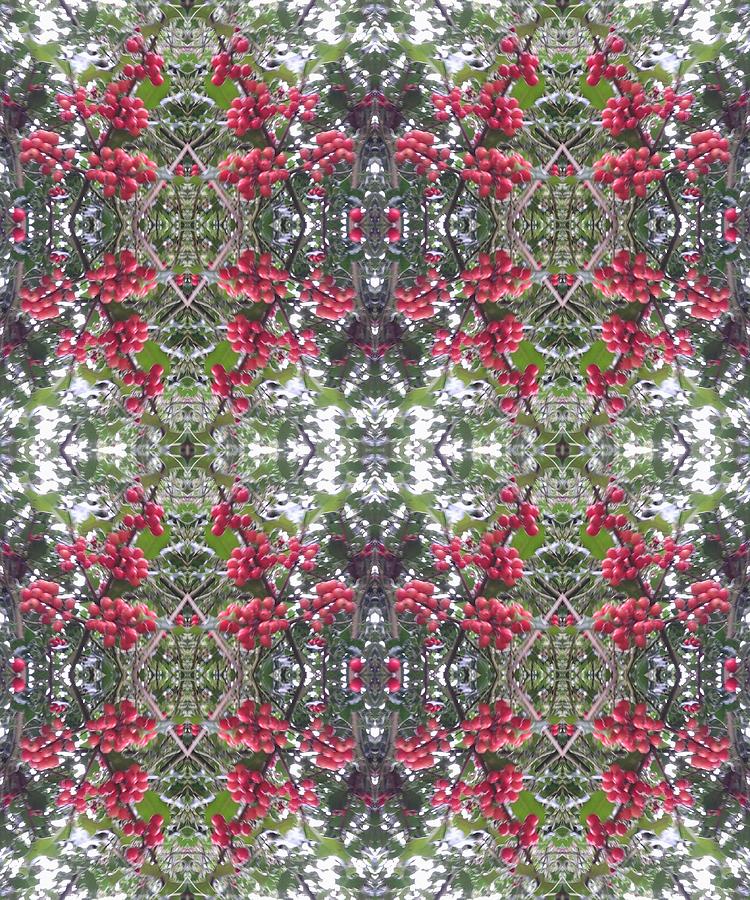 Holly Berry 802 Multi Fractal Photograph by Julia Woodman