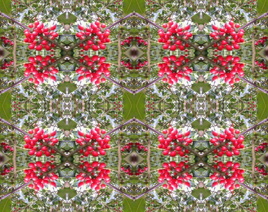 Holly Berry 803 Multi Fractal Photograph by Julia Woodman