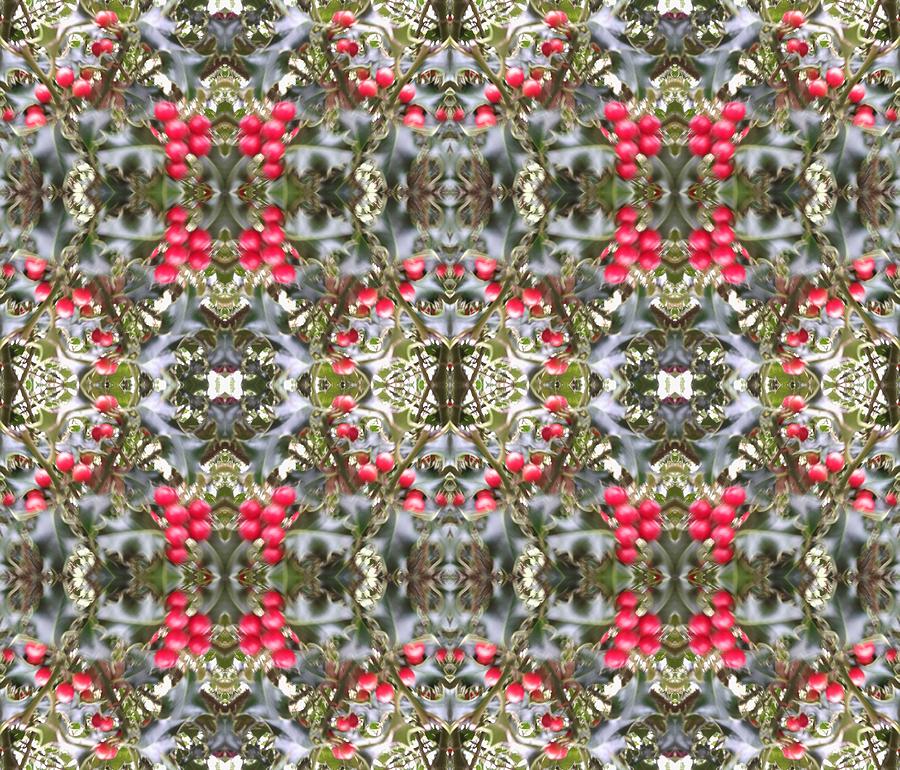 Holly Berry 804 Multi Fractal Photograph by Julia Woodman