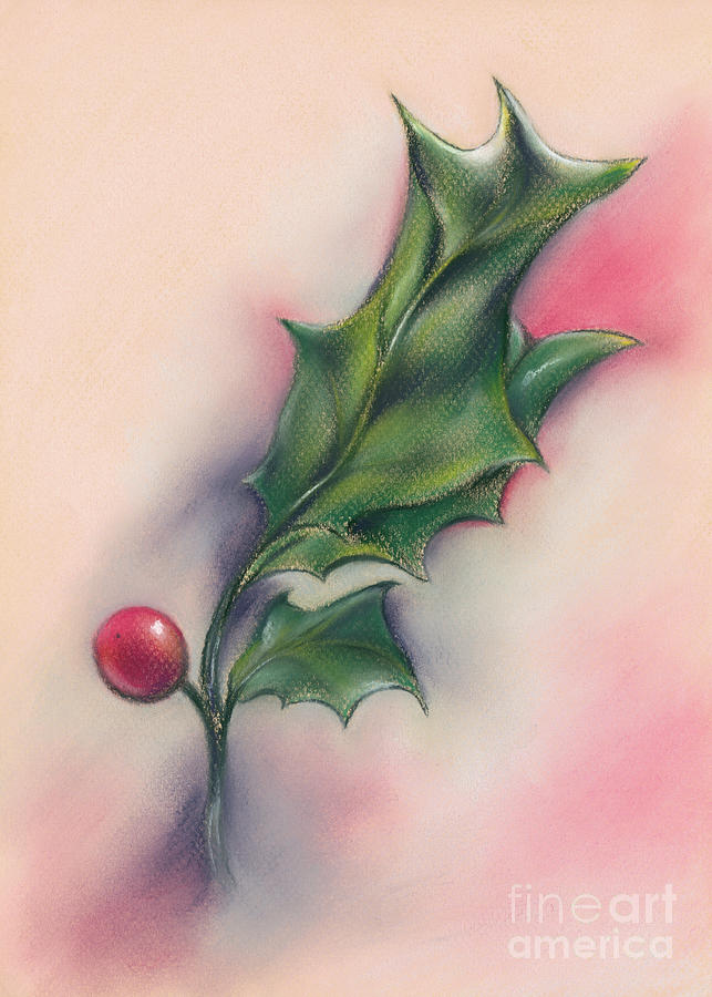 Holly Berry and Leaves Drawing by MM Anderson