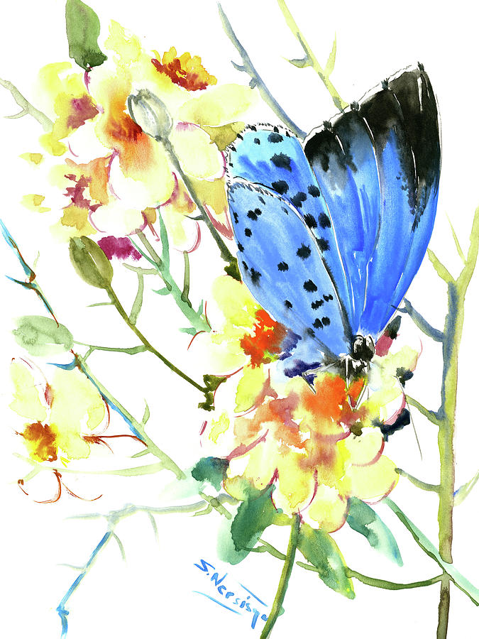 Holly Blue Butterfly Painting by Suren Nersisyan