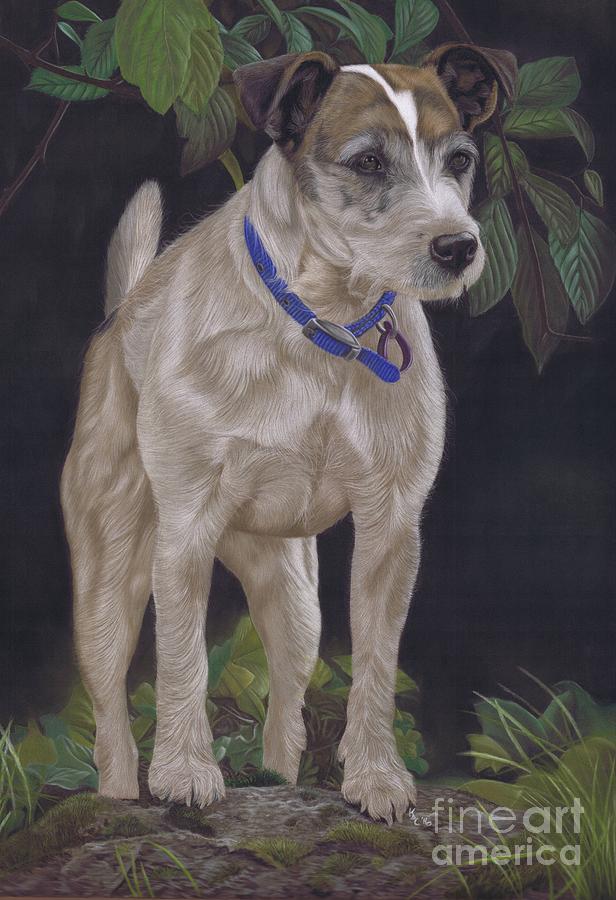 Holly Painting by Karie-ann Cooper