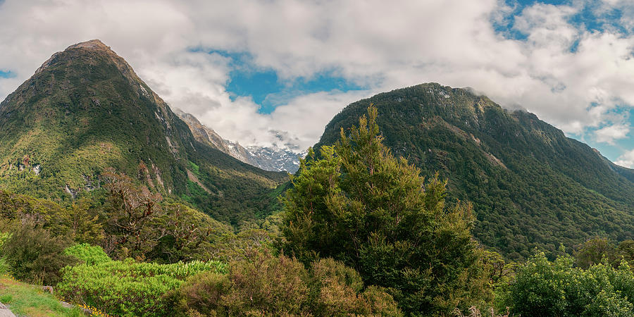 Hollyford Valley New Zealand Panorama Photograph by Joan Carroll