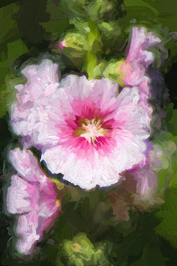 Hollyhock Flower Digital Art By Roy Pedersen   Hollyhock Flower Roy Pedersen 