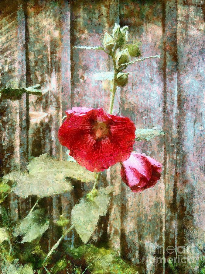 Hollyhock on weathered wood - remember the Days Photograph by Janine Riley