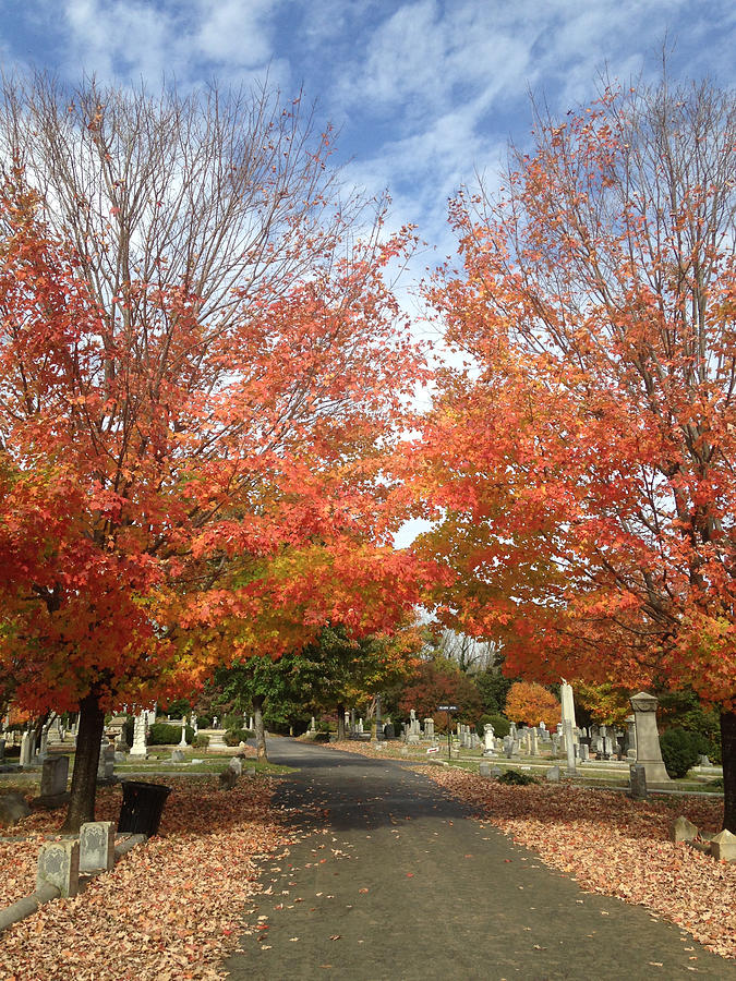 Hollywood Cemetery in the Fall Photograph by Will Felix