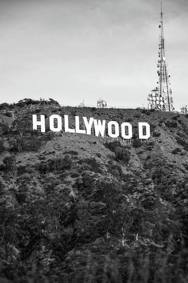 Hollywood Hills and The Hollywood sign Beverly Hills Boulevard, Los  Angeles, California Solid-Faced Canvas Print