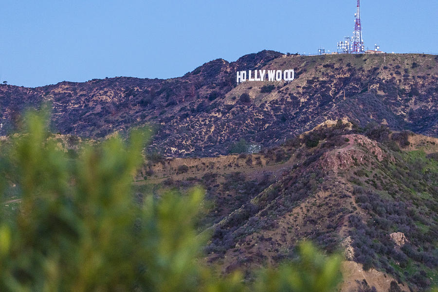 Hollywood Sign in the morning Photograph by John McGraw