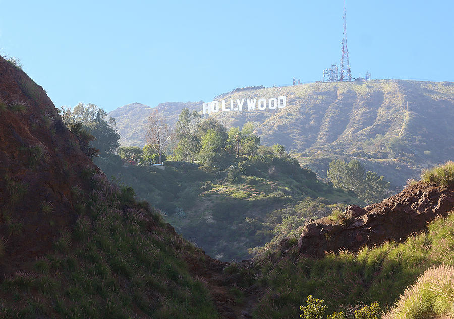 Hollywood Sign Photograph by Viktor Savchenko