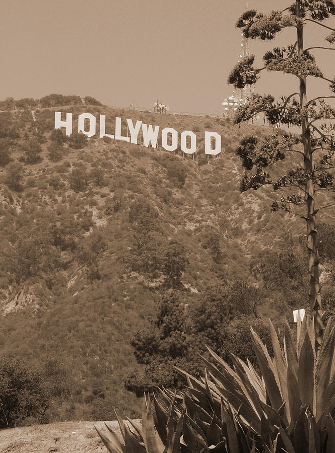 Hollywood Signage Photograph by Richard Omura