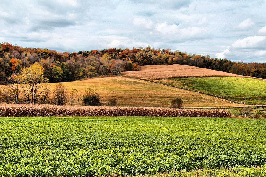 Holmes County Rolling Hills Photograph by Gary Wilson