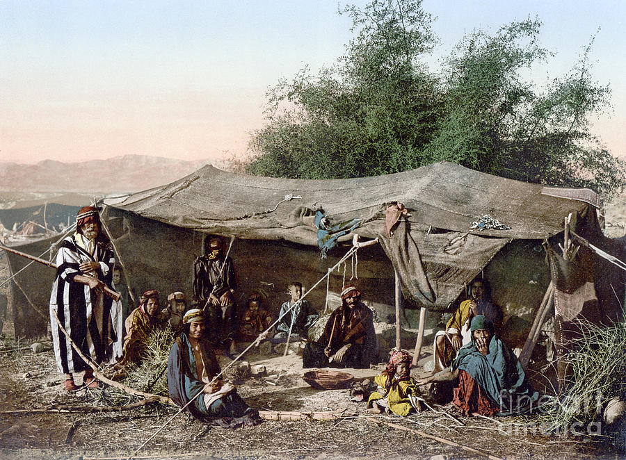 Holy Land: Bedouin Camp Photograph by Granger
