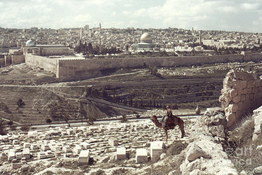Holy Land - Jerusalem Photograph by Granger
