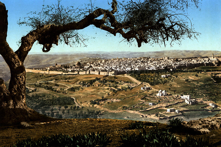 Holyland - Mount Scopus Jerusalem Photograph by Munir Alawi