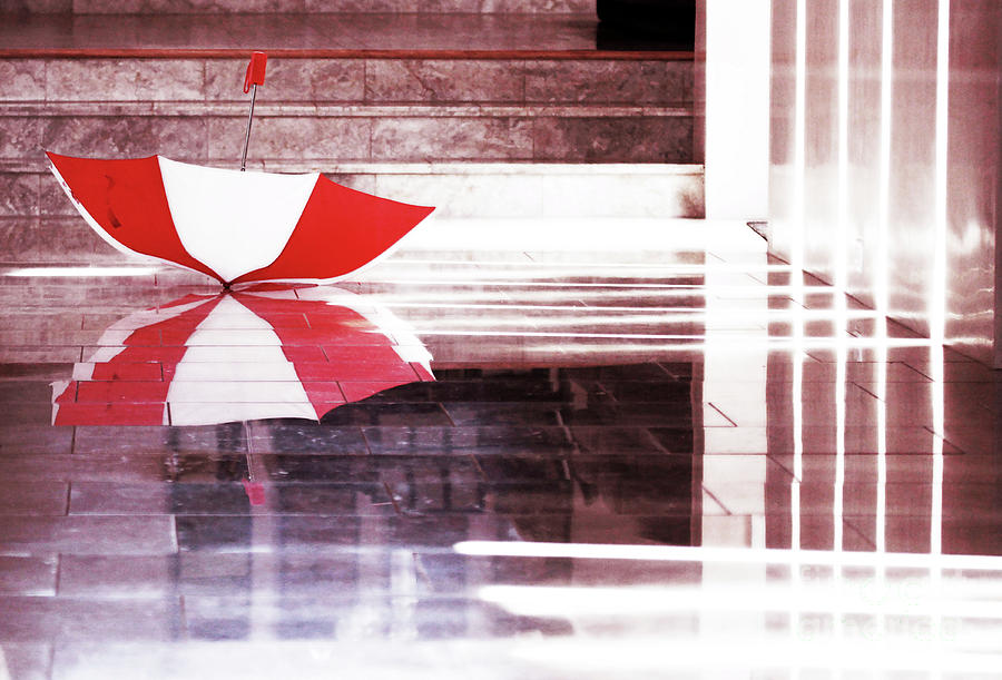 Home again umbrella Photograph by Jennie MacDonald Home again umbrella Photograph by Jennie MacDonald