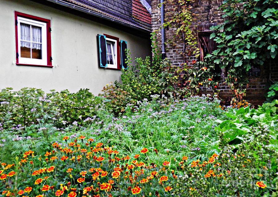Home and Garden Schierstein 5 Photograph by Sarah Loft