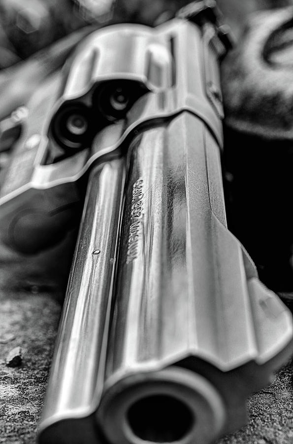 Home Defense  Photograph by JC Findley