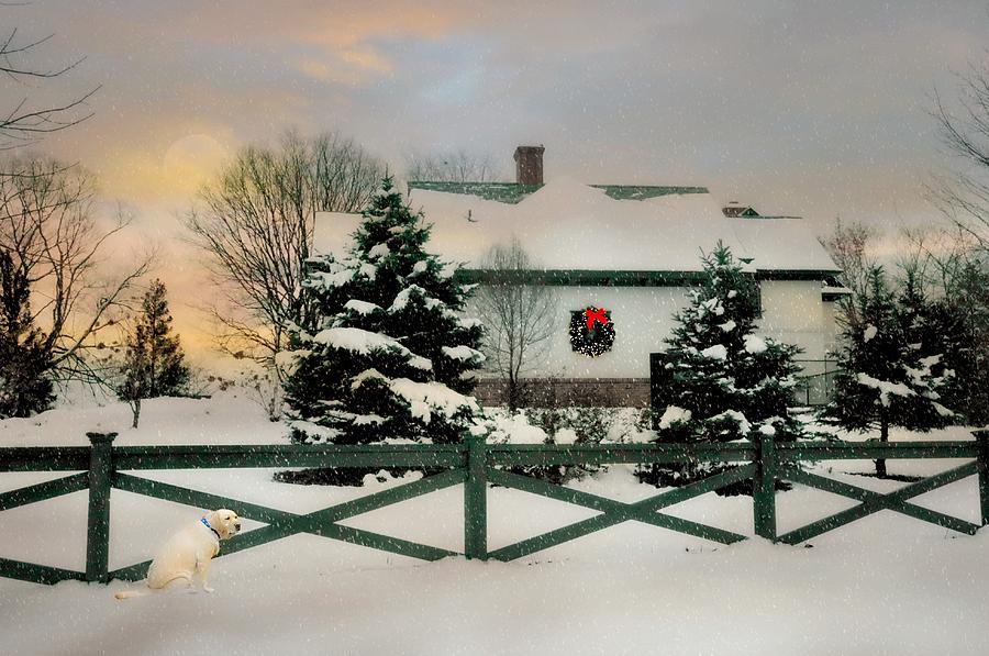 Home for the Holidays Photograph by Diana Angstadt