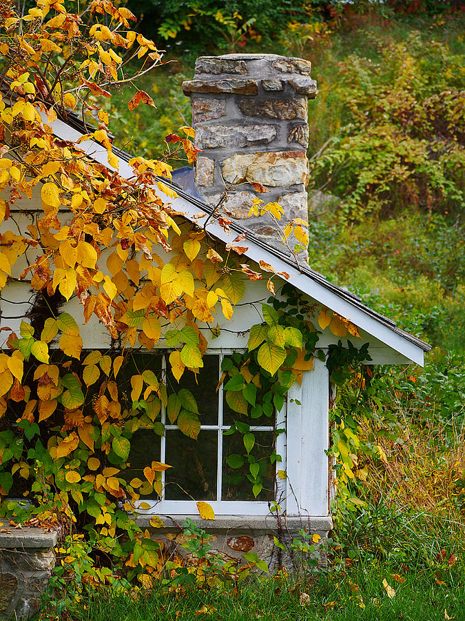 Home in the Fall Photograph by Richard Reeve
