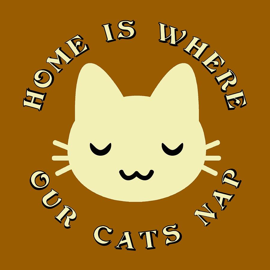 Home Is Where Our Cats Nap Digital Art by David G Paul