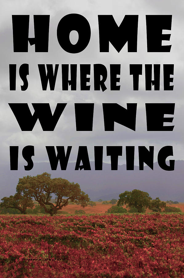 Home is where the Wine is Waiting Photograph by Barbara Snyder