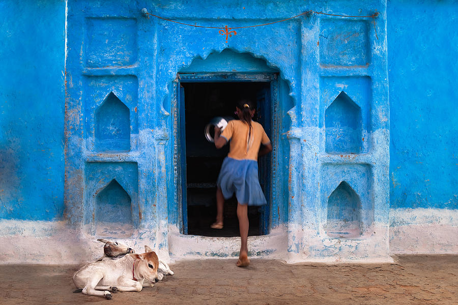India Photograph - Home by Marji Lang India Photograph - Home by Marji Lang
