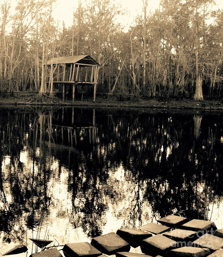River Photograph - Home of the Heart of the South, Fl. by Robin Lewis