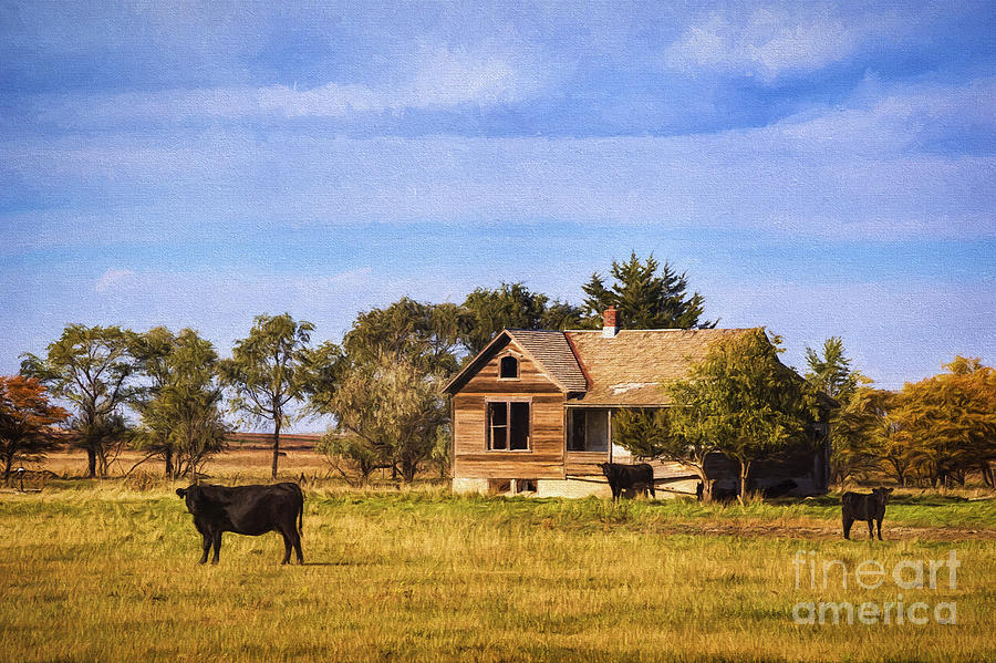Home on the Farm Photograph by Priscilla Burgers