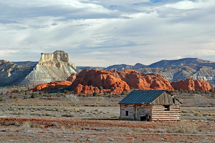 Home on the Range Photograph by Nicholas Blackwell
