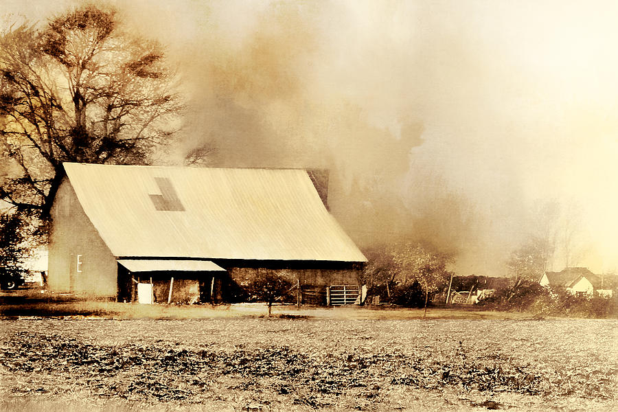 Vintage Photograph - Home On The Range by Theresa Campbell
