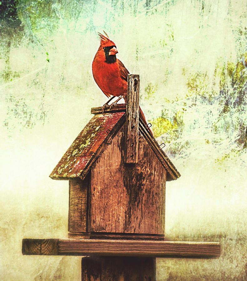 Home Sweet Home Photograph by Cynthia Wolfe