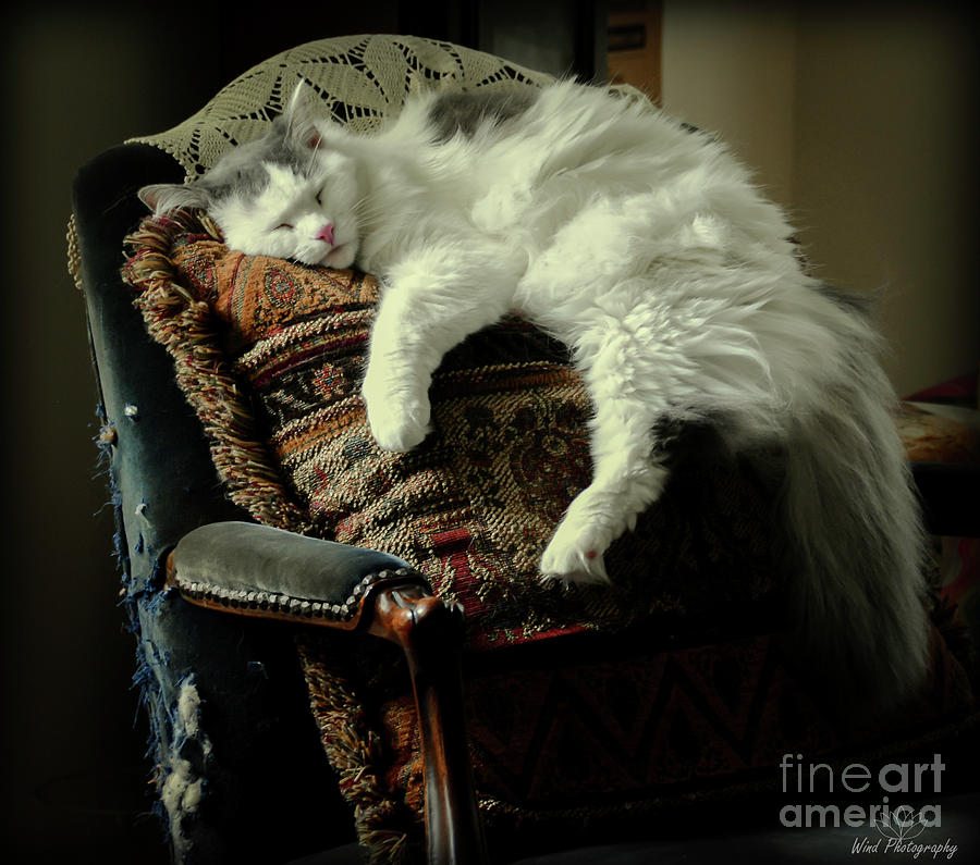 Home Sweet Home Photograph - Home Sweet Home by Diana Wind Home Sweet Home Photograph - Home Sweet Home by Diana Wind