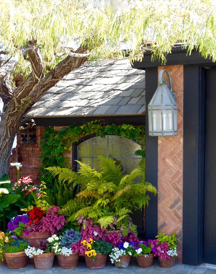 Home Sweet Home by My Lens and Eye - Judy Mullan - Home Sweet Home by My Lens and Eye - Judy Mullan -