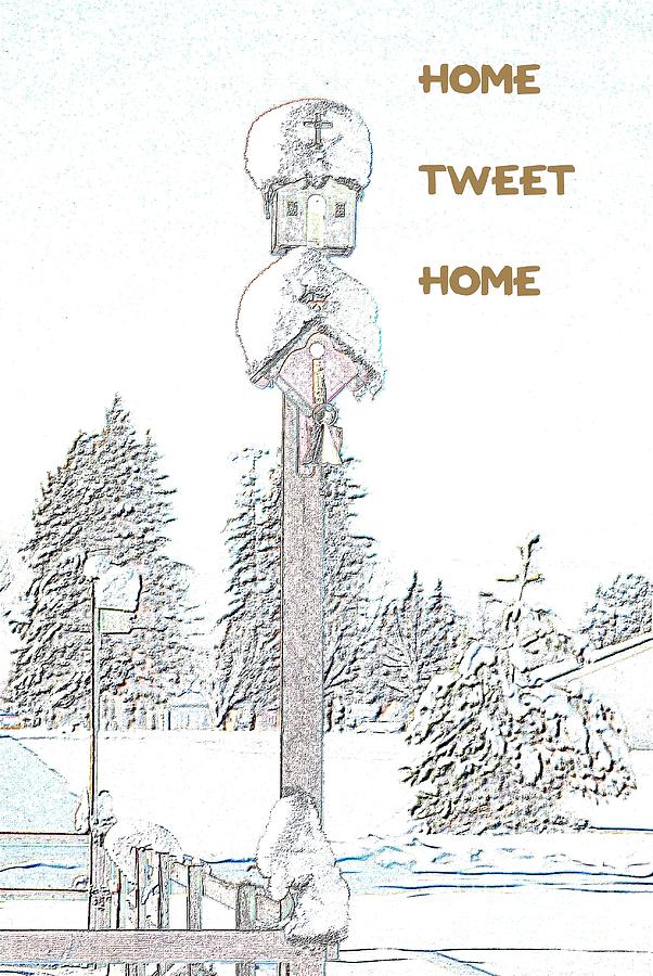 Winter Photograph - Home Tweet Home by Sharon Elliott