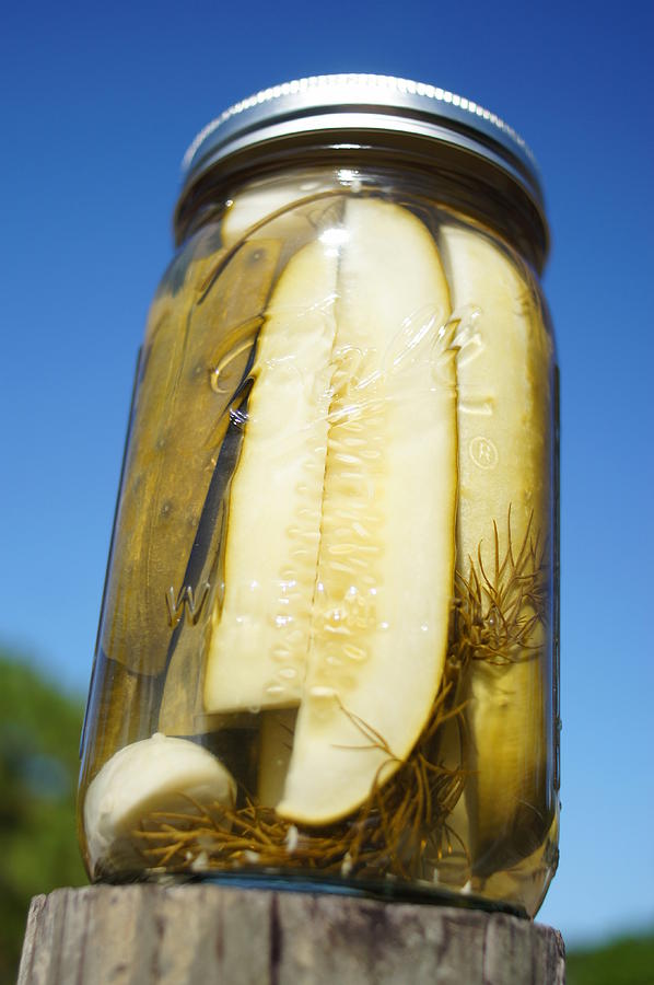 Homegrown Pickles on a Post Photograph by Lynda Dawson-Youngclaus