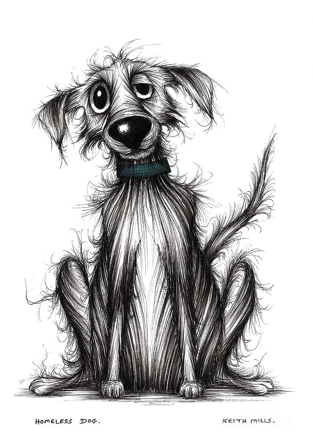 Homeless dog Drawing by Keith Mills