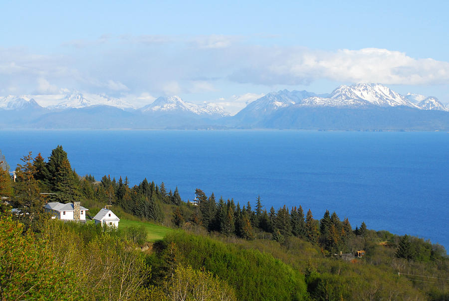 Homer AK 2011 Photograph by Wayne Archer Fine Art America