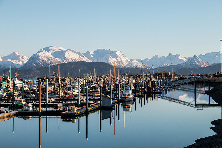 Homer Alaska Boat Harbor Photograph by Tami Biorn