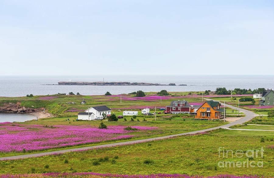 Homes and flowers on the Atlantic coast in Gaspe Photograph by Les Palenik