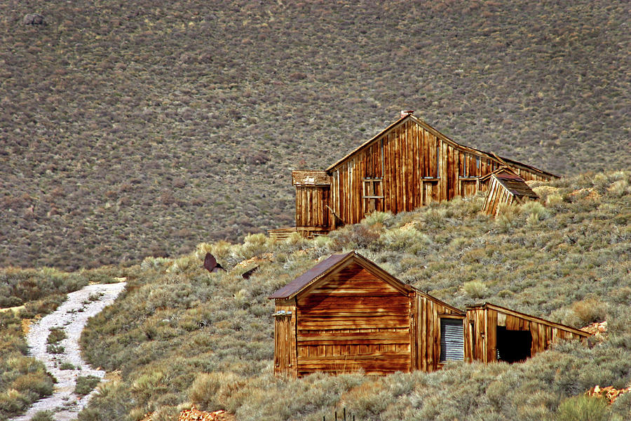 Homes in Bodie Photograph by Inge Riis McDonald